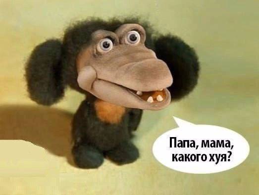 1785109054808.jpeg