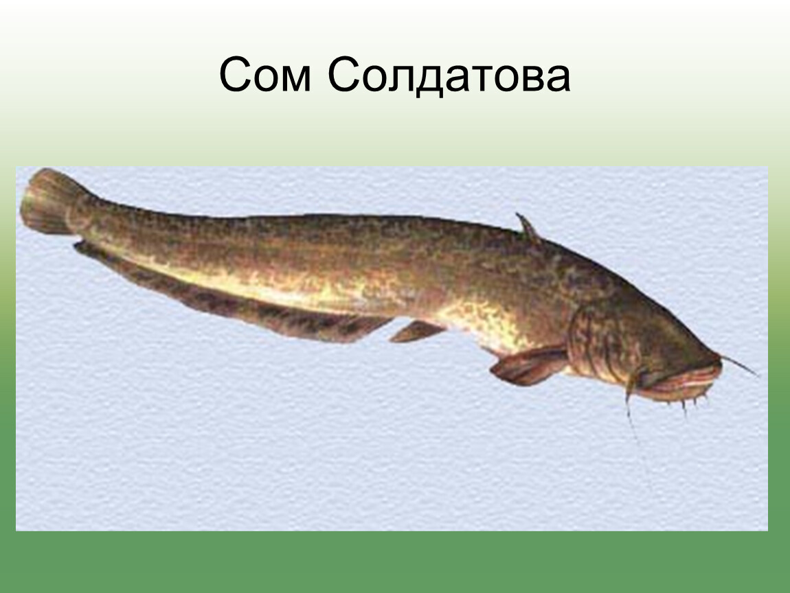 1785994377321.png