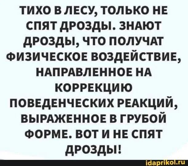 1786097175817.jpeg