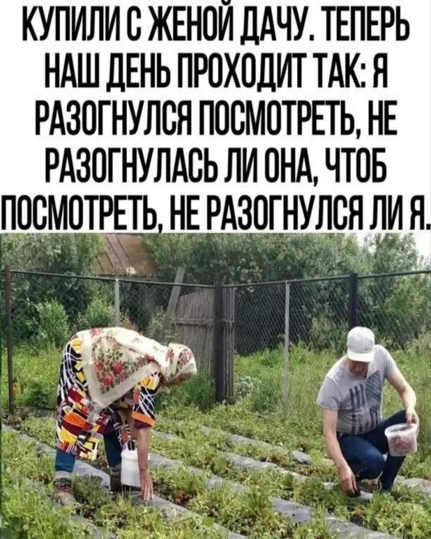 1788465310629.png