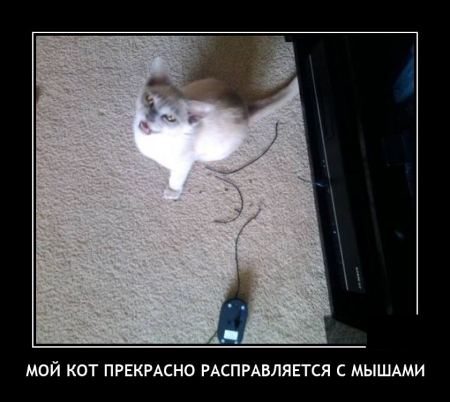 1793235372004.png