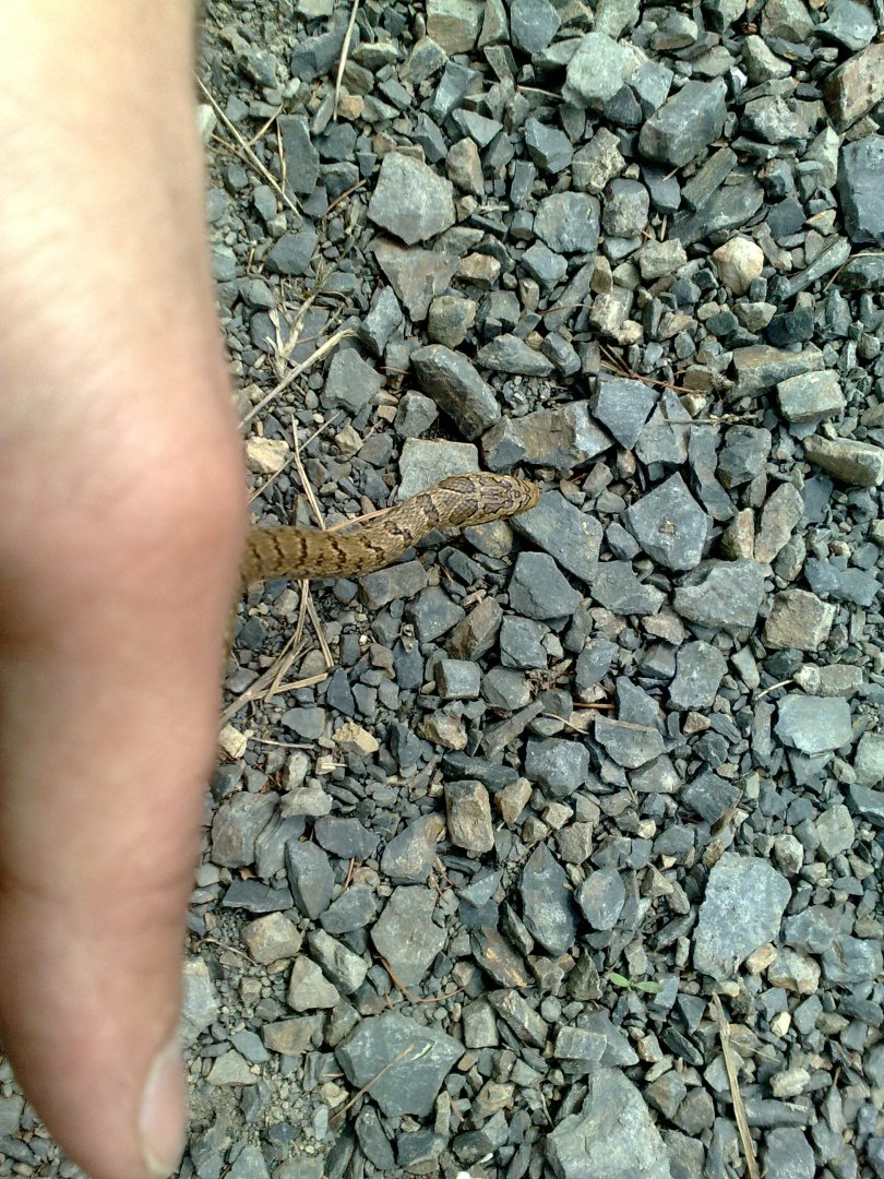 180520131824.jpg