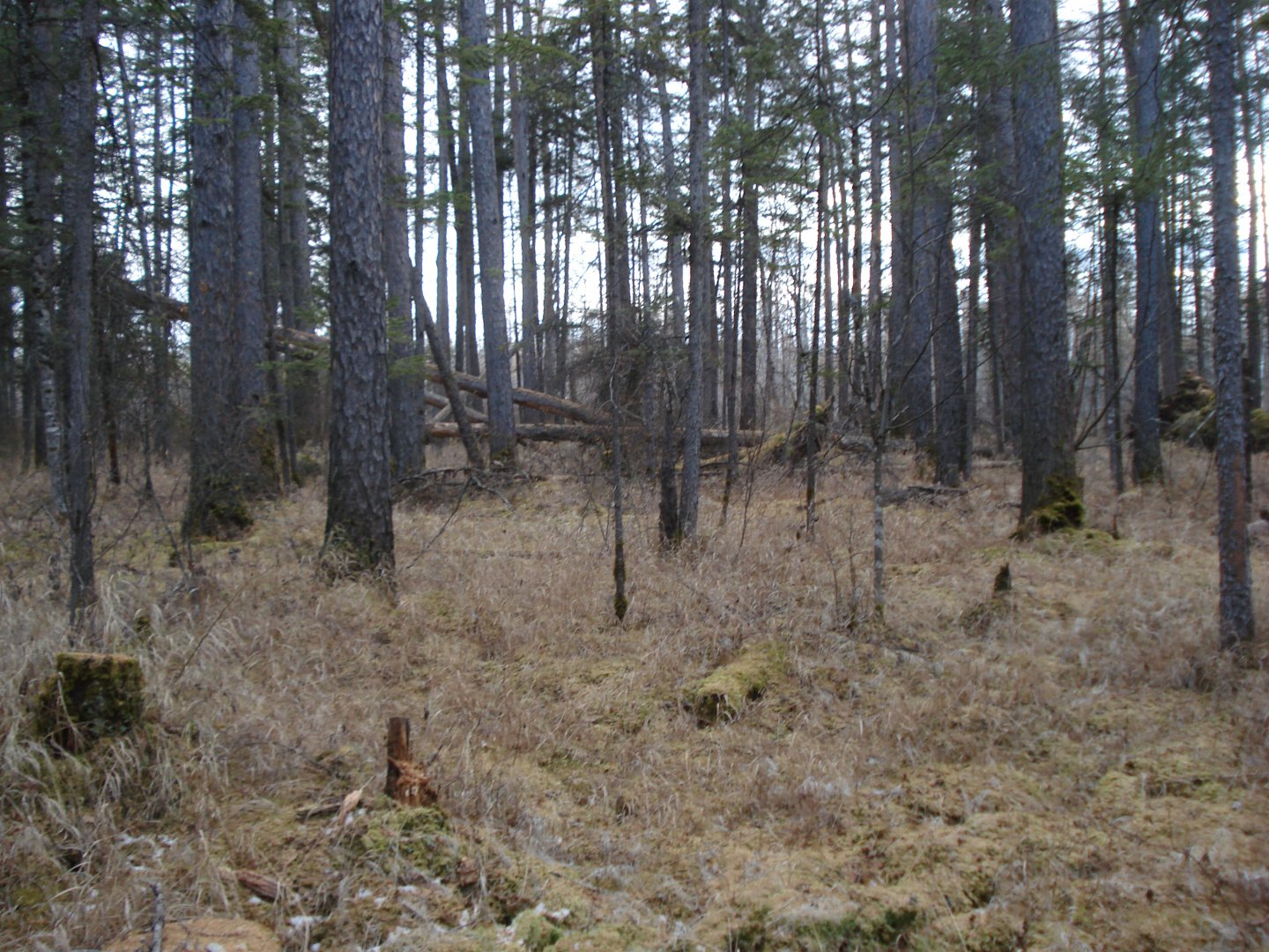 185.JPG