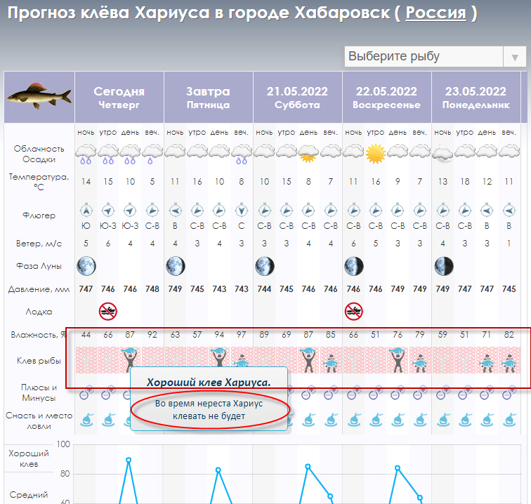 19.05.jpg