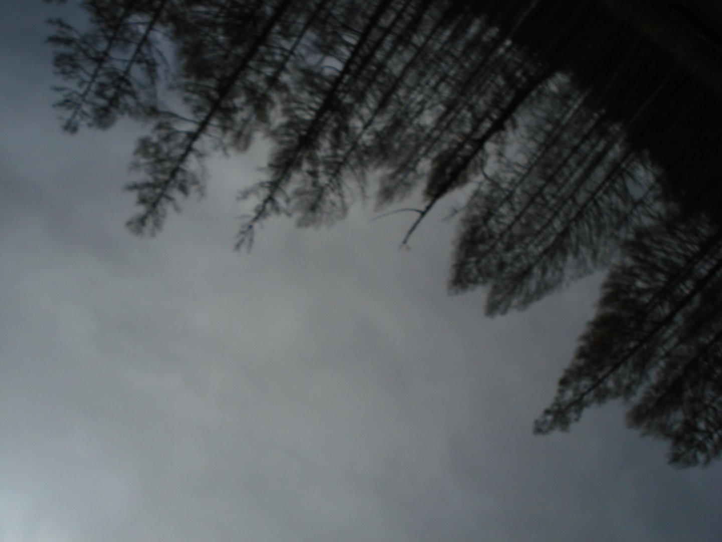 193.JPG