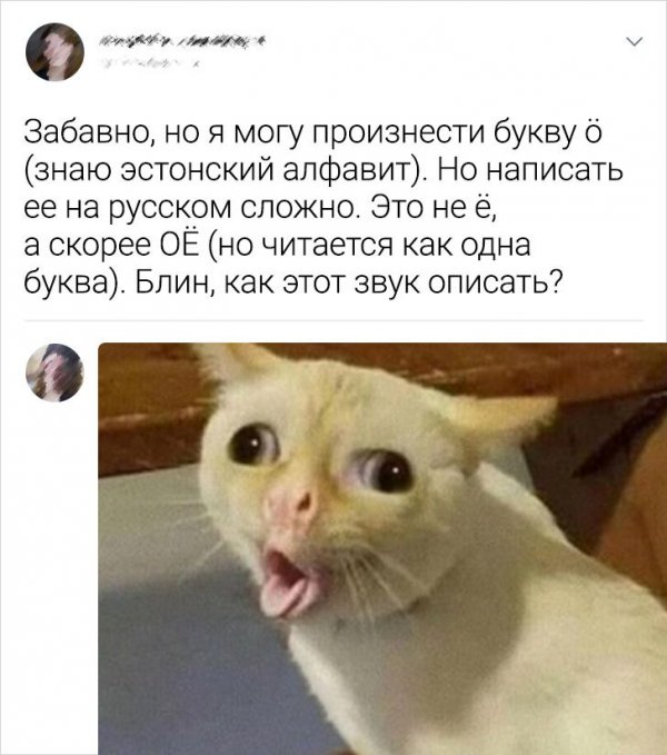 198462_14_trinixy_ru.jpg