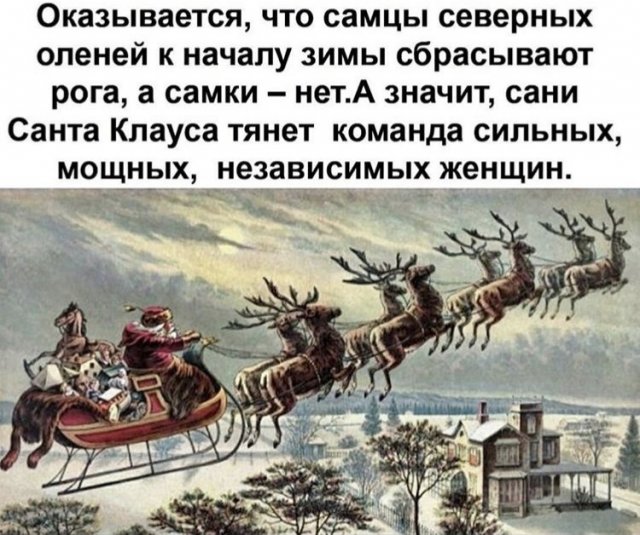 198471_10_trinixy_ru.jpg