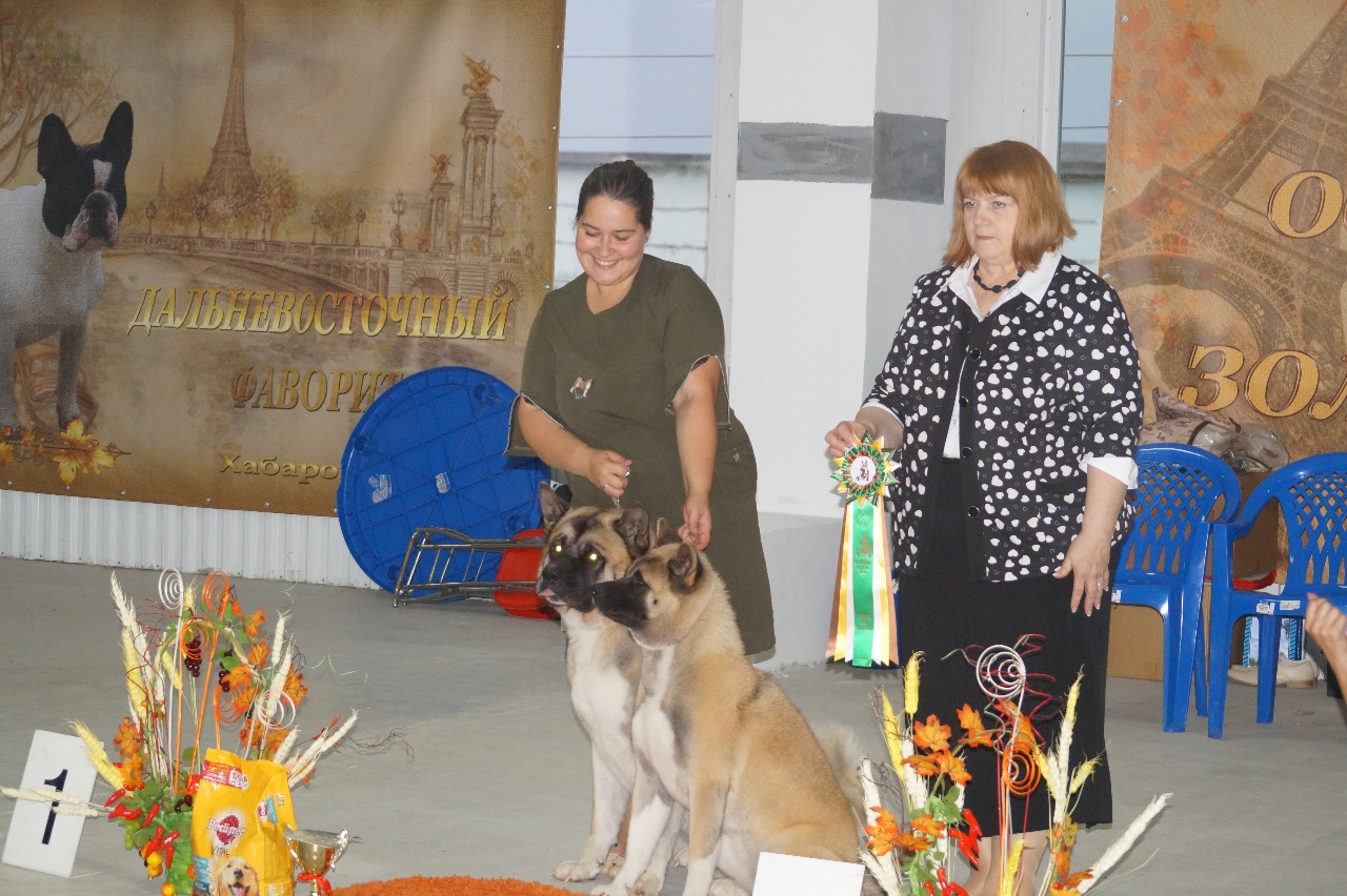 1c4d1fb3-65a0-4481-a938-1b6d24527e22 (1).jpg