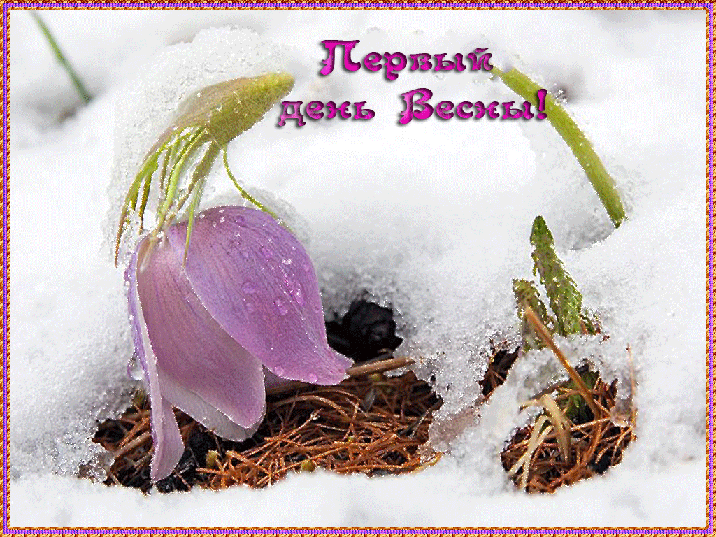 1pervyiy-den-vesnyi.gif