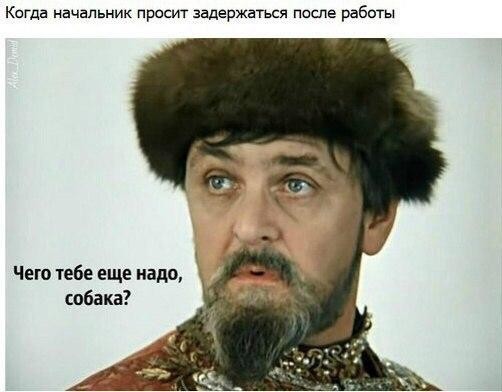 2-31.jpg