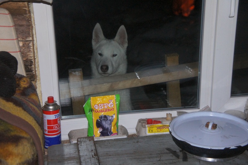 2 декабря 2014 013.jpg