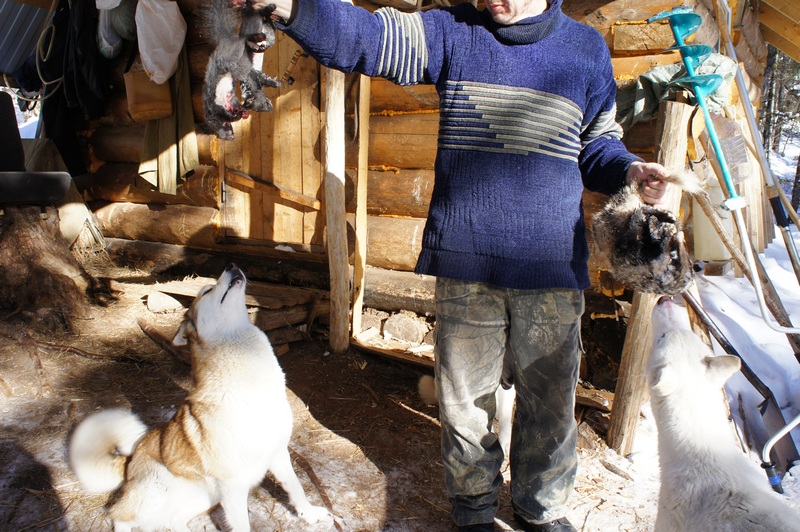 2 декабря 2014 016.jpg