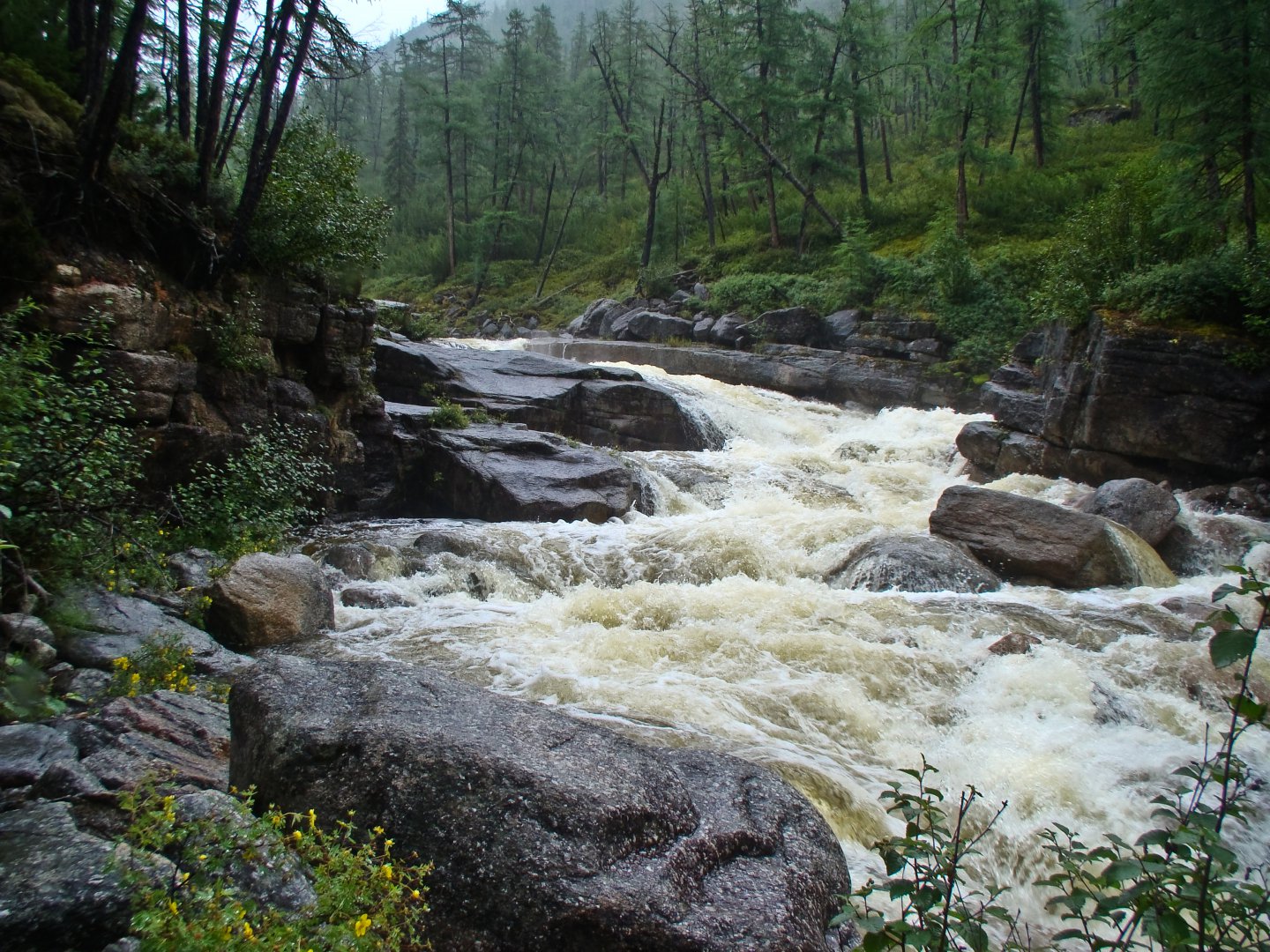 20100729-DSC01875.jpg