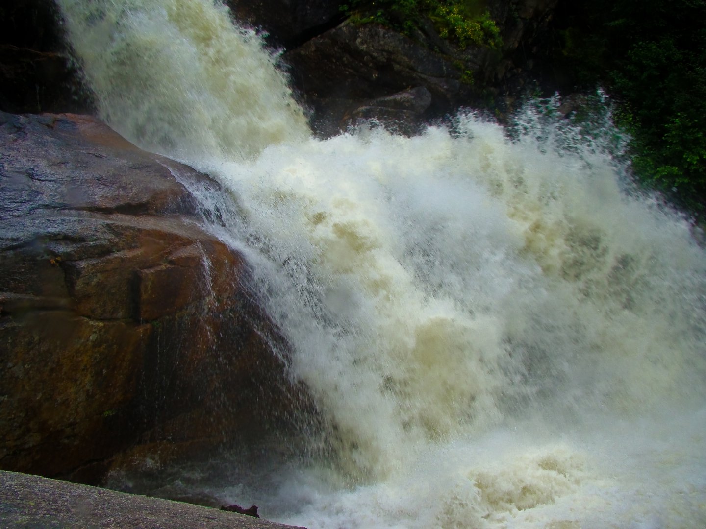 20100729-DSC01892.jpg