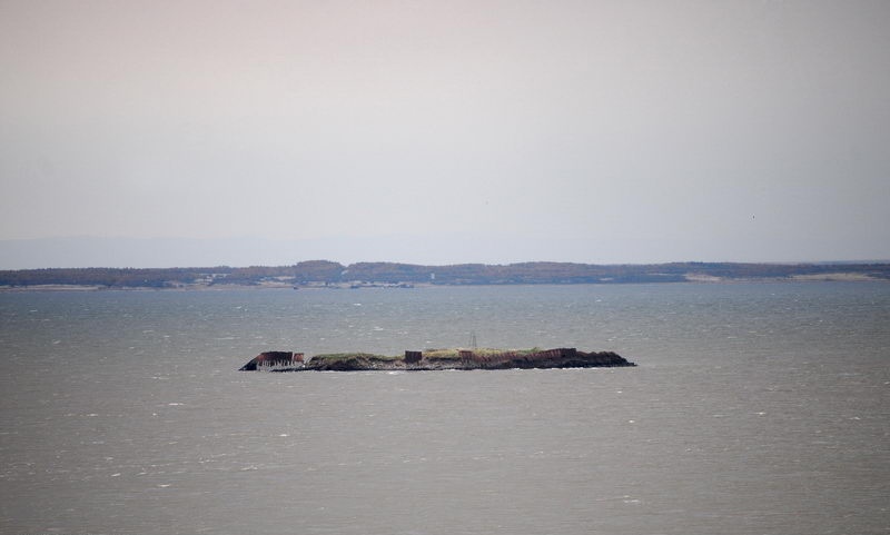 20103516.jpg