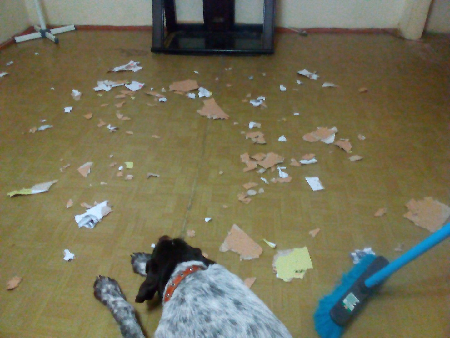 2014-12-25 20.36.50.jpg