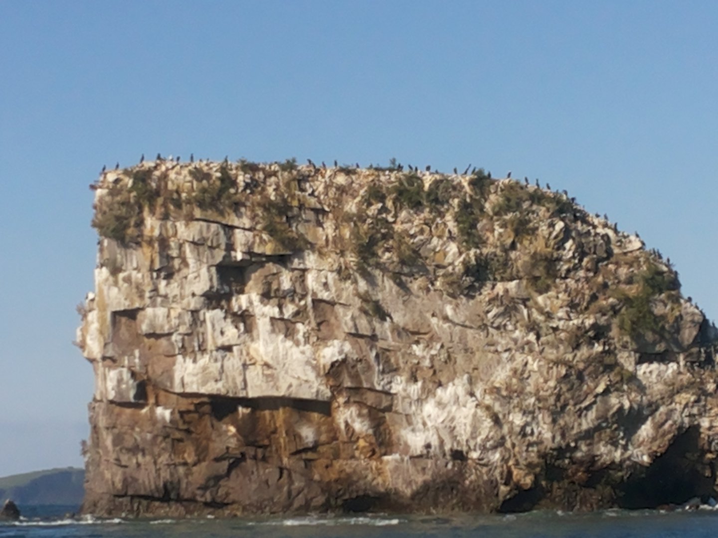 20140905_103809.jpg