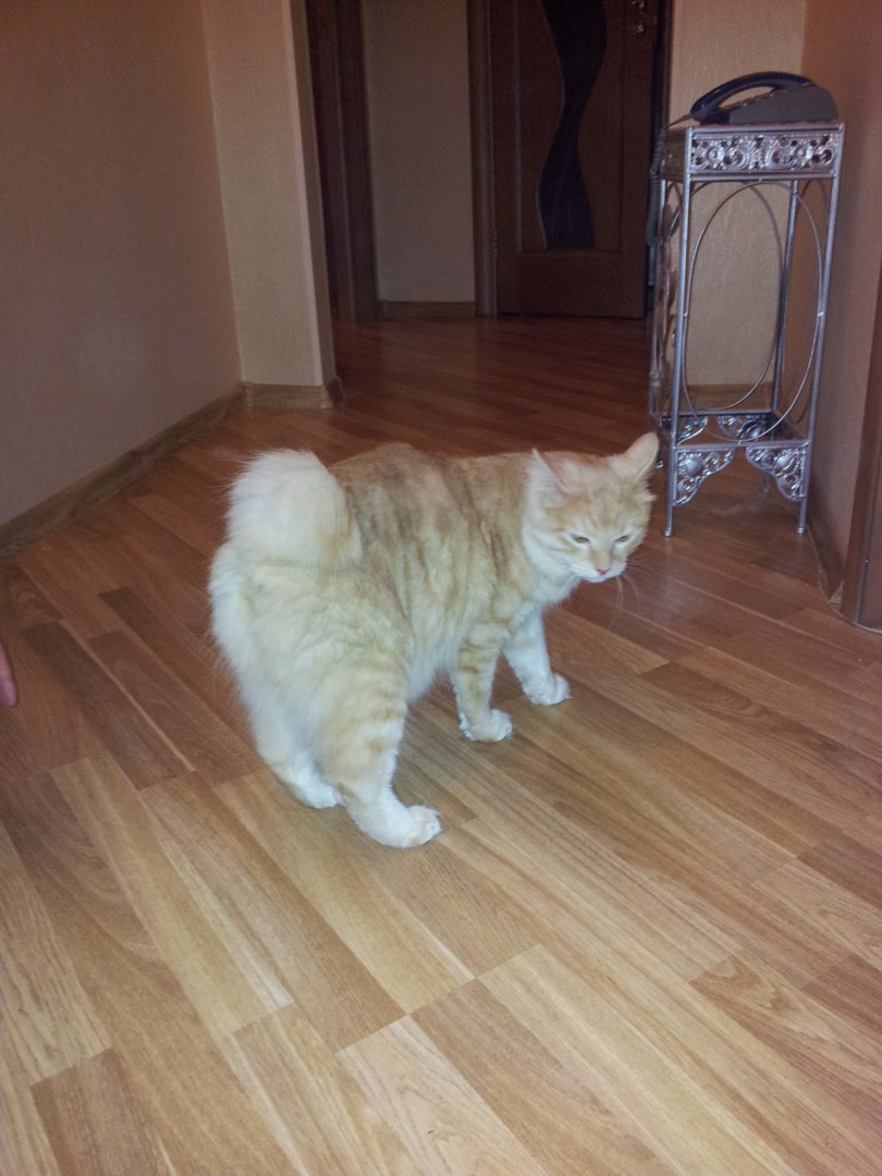 20141112_170352.jpg