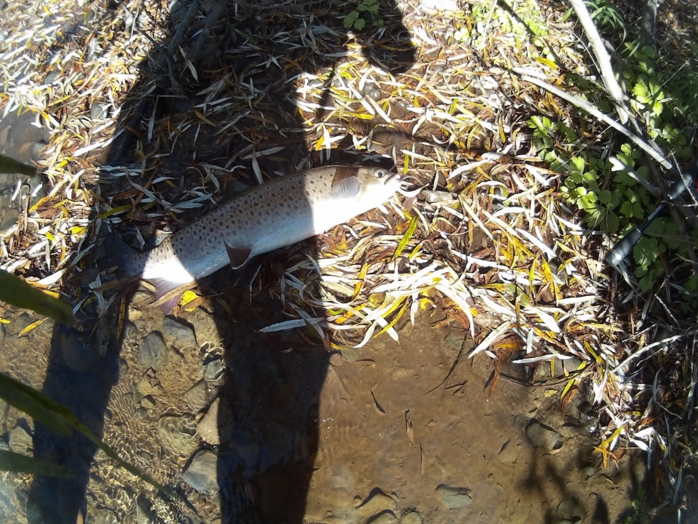 2014_0101_133026_002.JPG