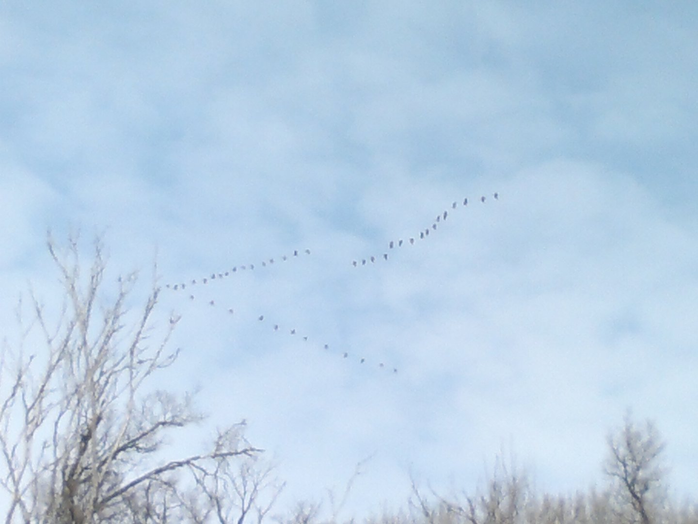 2015-03-22-594.jpg