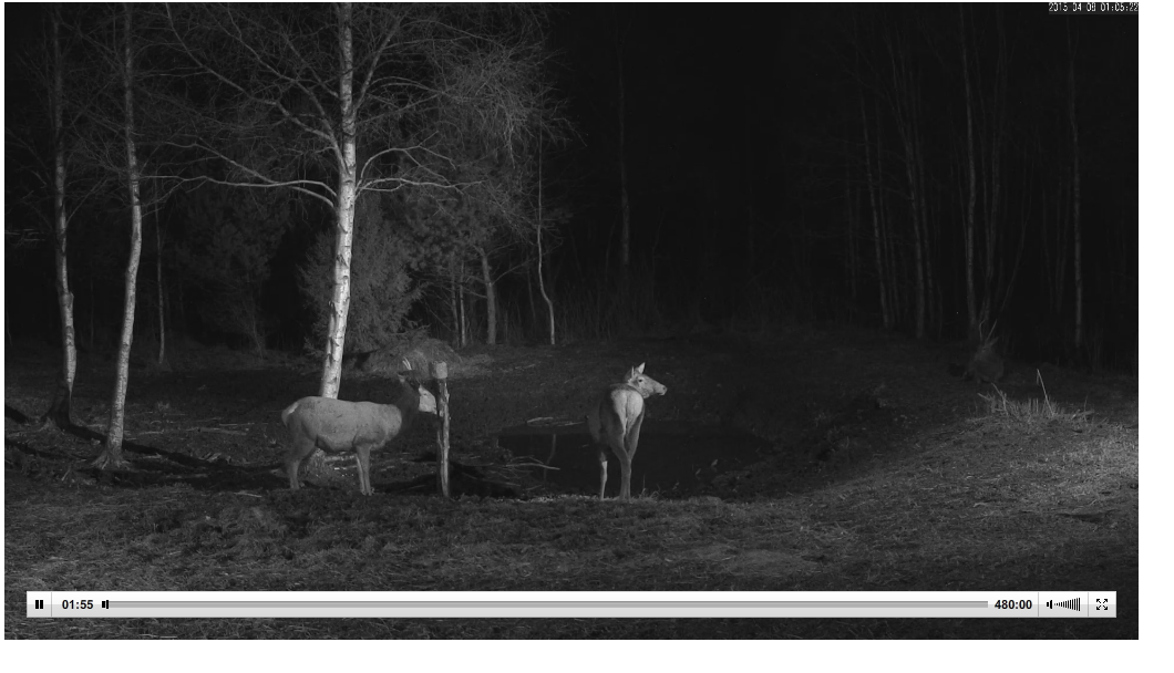 2015-04-08 08-06-25 Скриншот экрана.png