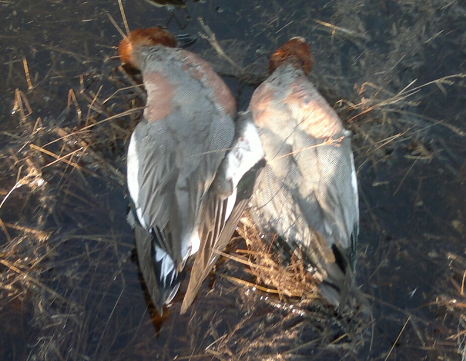 2015-04-08 09.57.05.jpg