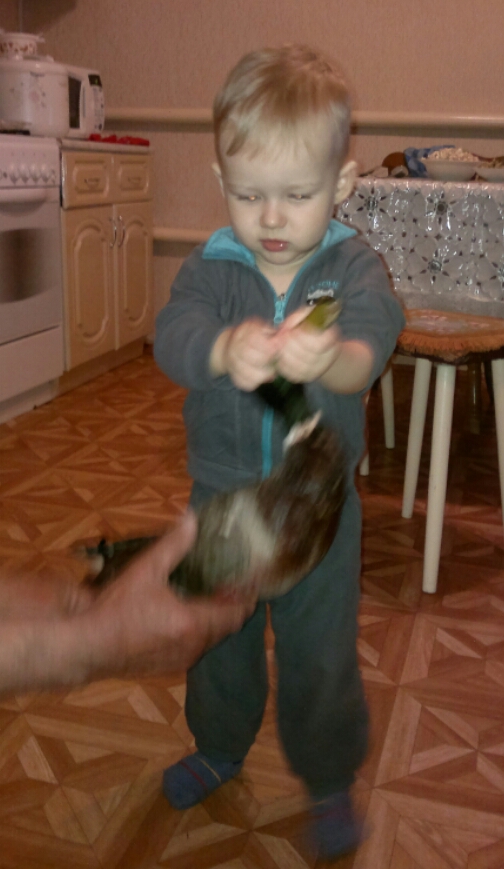 2015-04-08 09.58.17.jpg