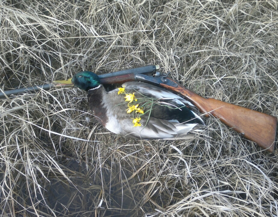 2015-04-10 15.31.17.jpg