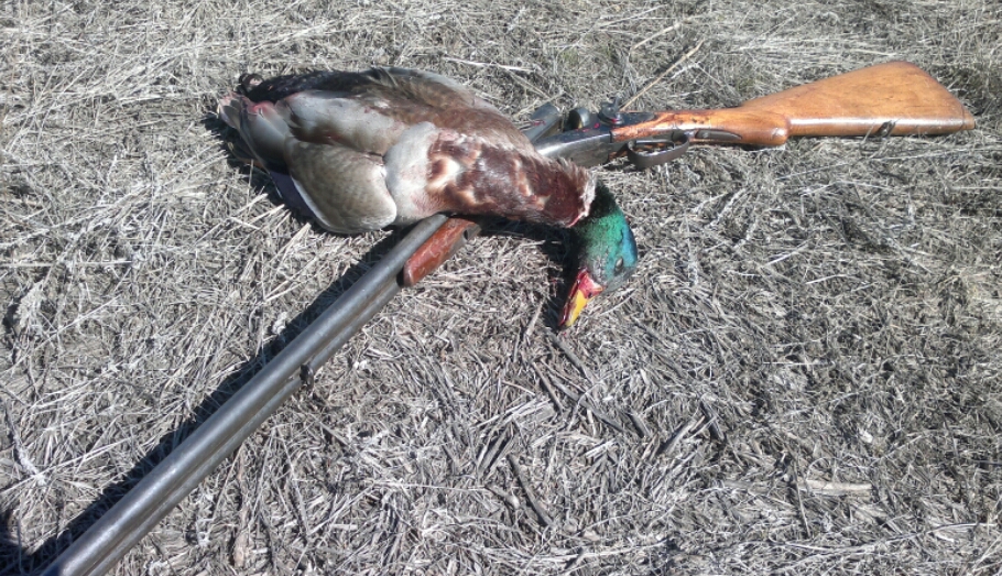 2015-04-11 21.48.25.jpg