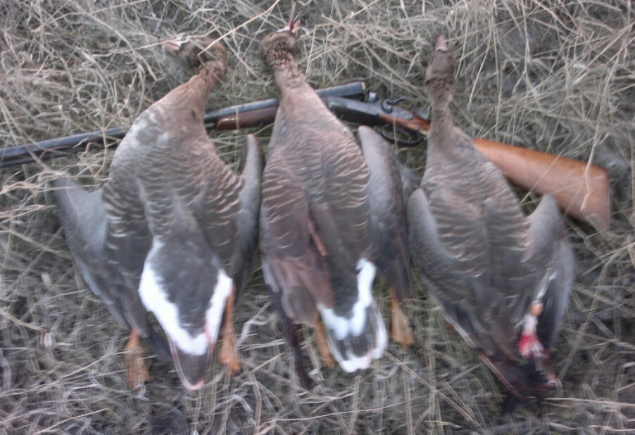 2015-04-11 21.49.08.jpg