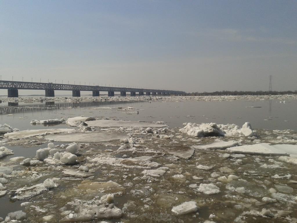 2015-04-16 13.22.37.jpg