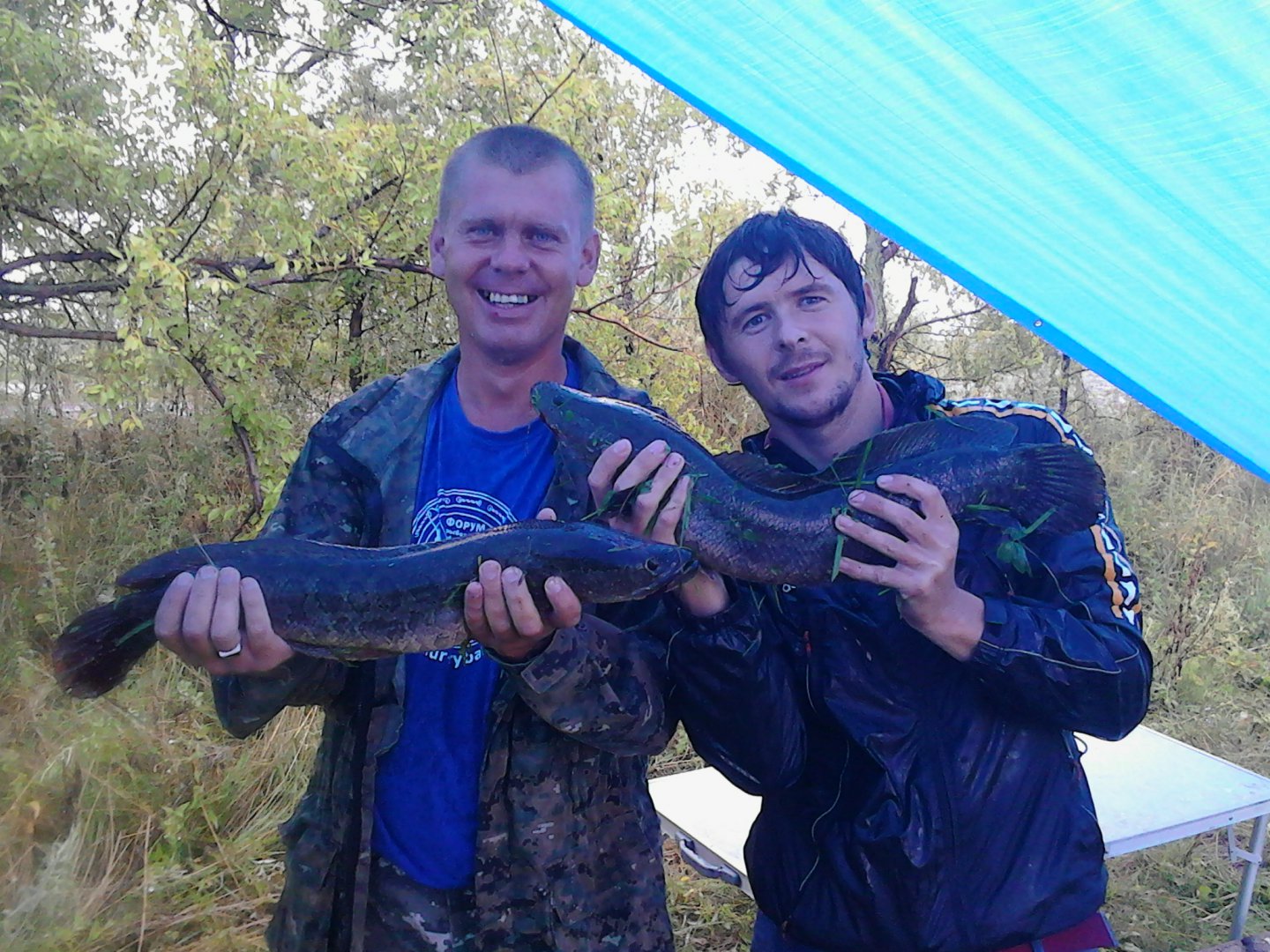 2015-08-21 18.17.14.jpg