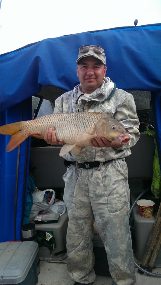 2015-09-05 17.25.20.jpg