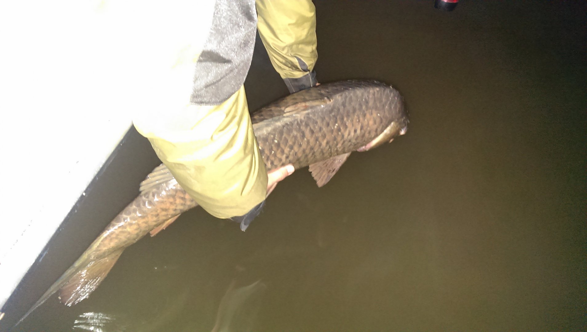 2015-09-05 23.39.39.jpg