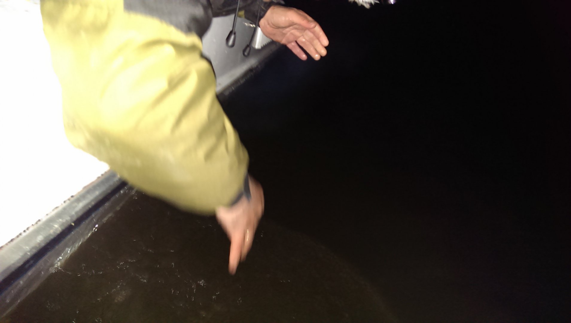 2015-09-05 23.39.48.jpg