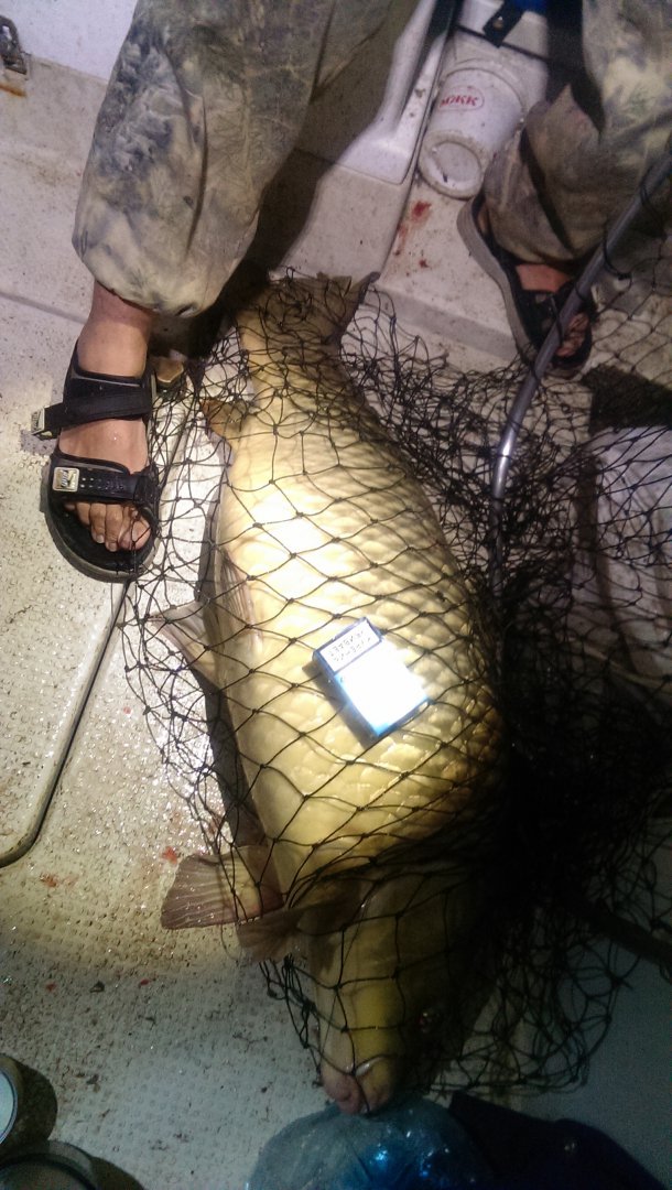 2015-09-06 01.30.02.jpg