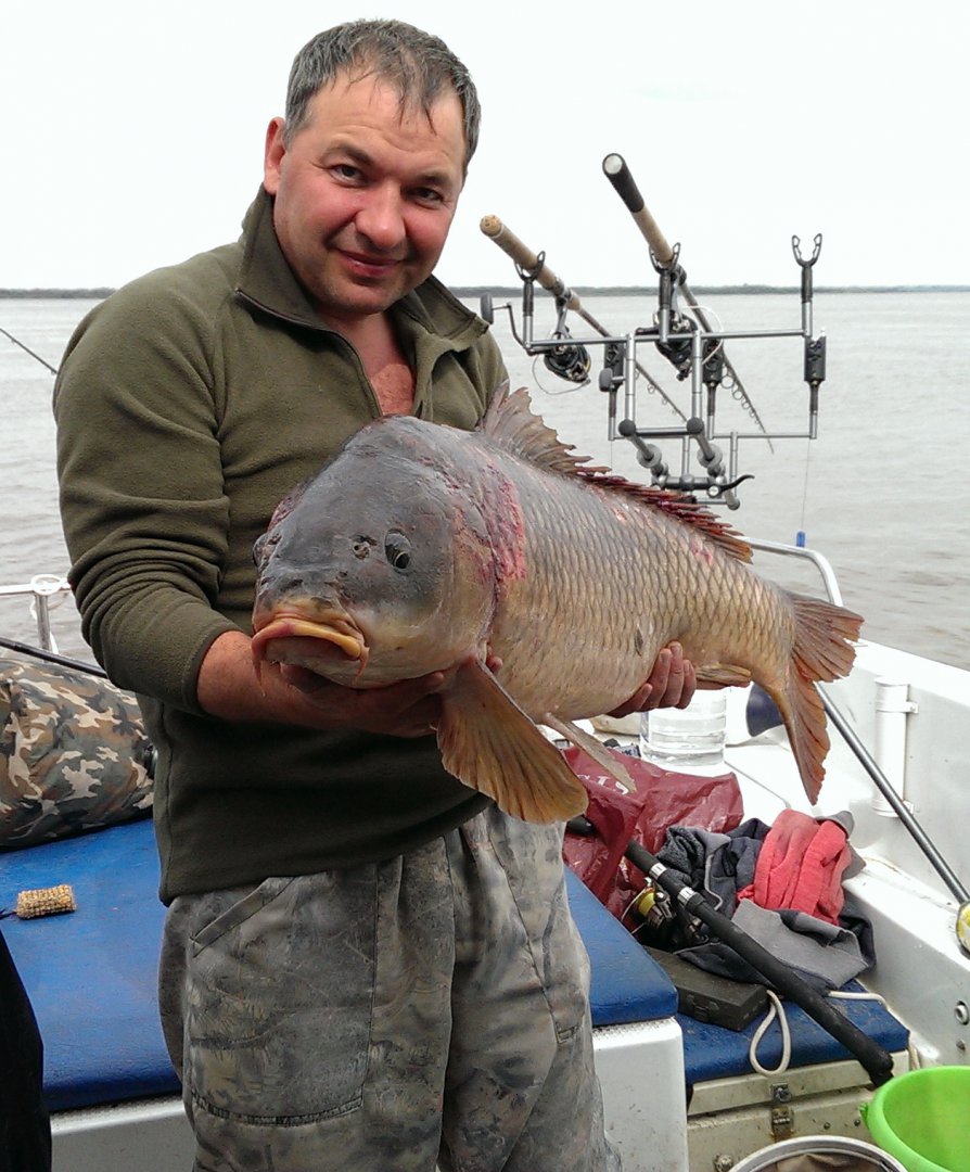 2015-09-06 11.44.07_2.jpg