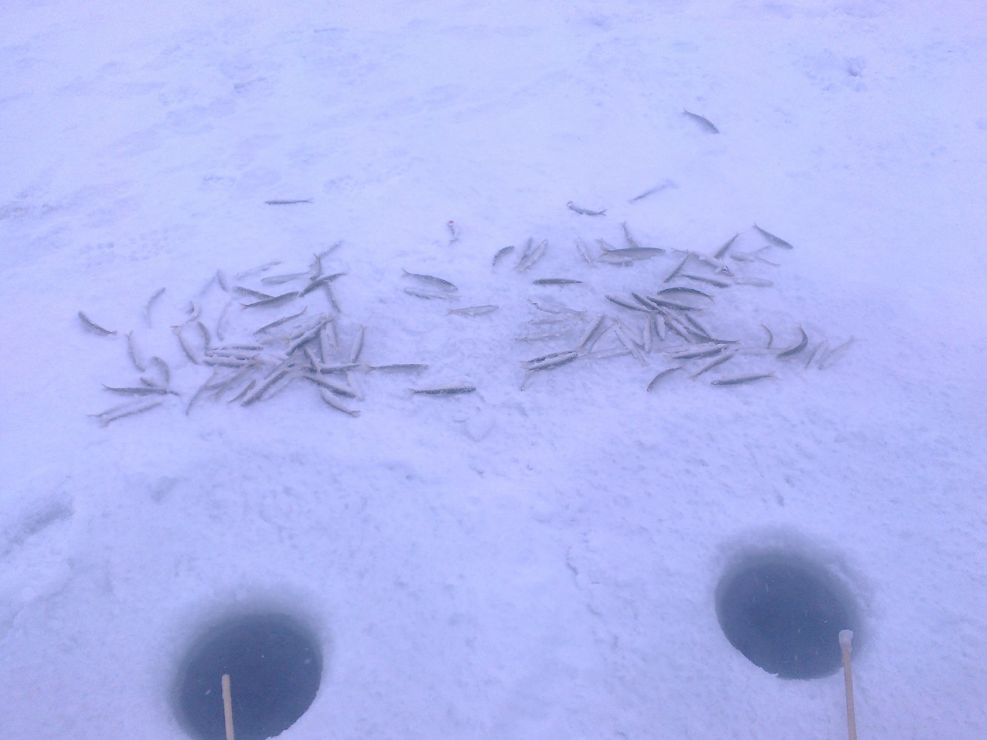 20150106-0003.jpeg