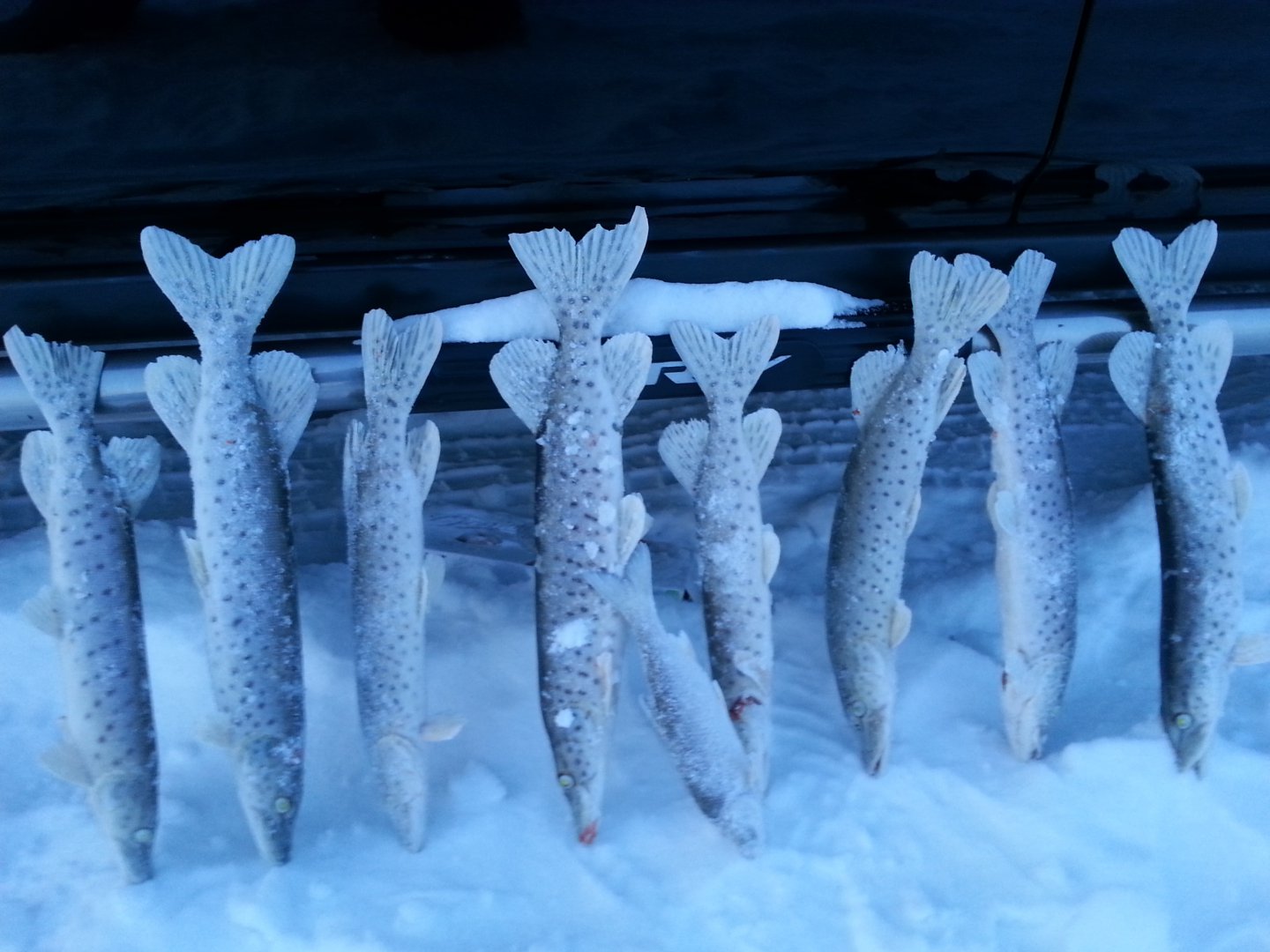 20150125_173019.jpg