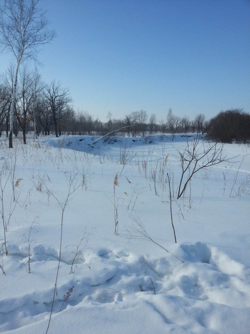20150214_142222[1].jpg
