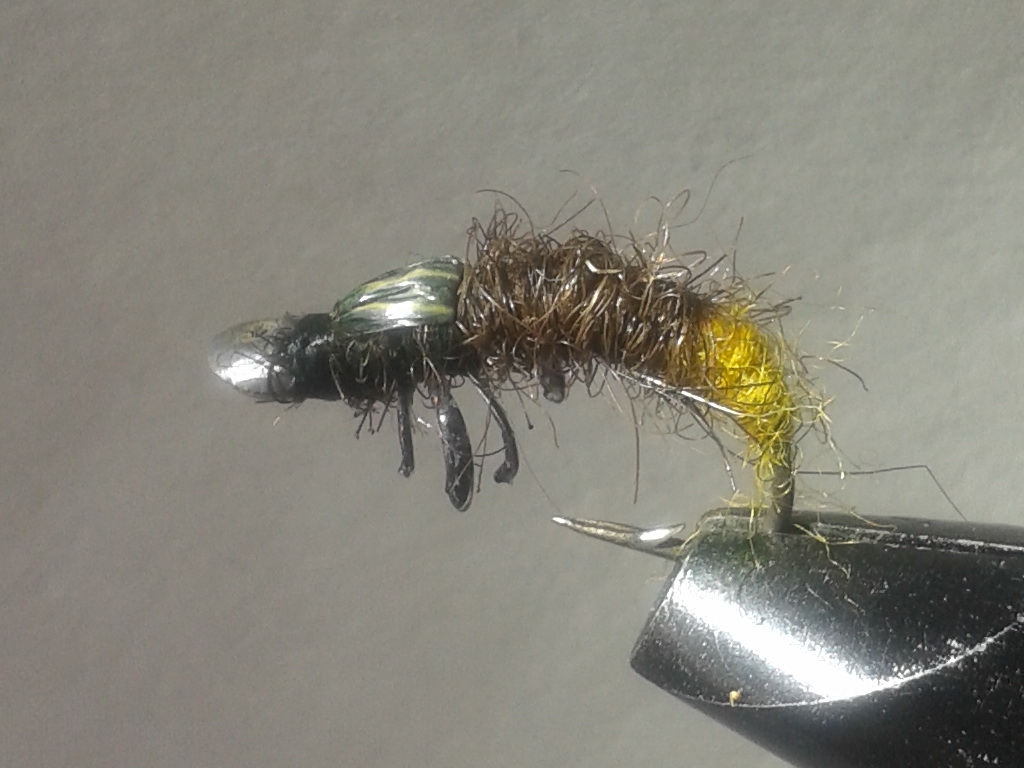 20150302_112949.jpg