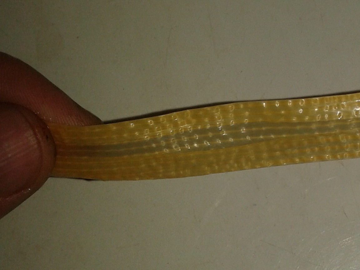 20150305_182452.jpg