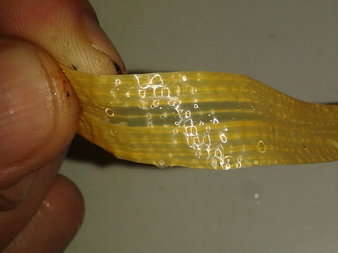 20150305_182549.jpg