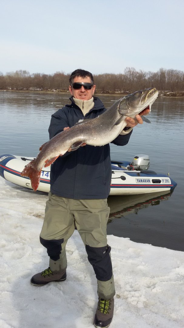 20150402_162922.jpg