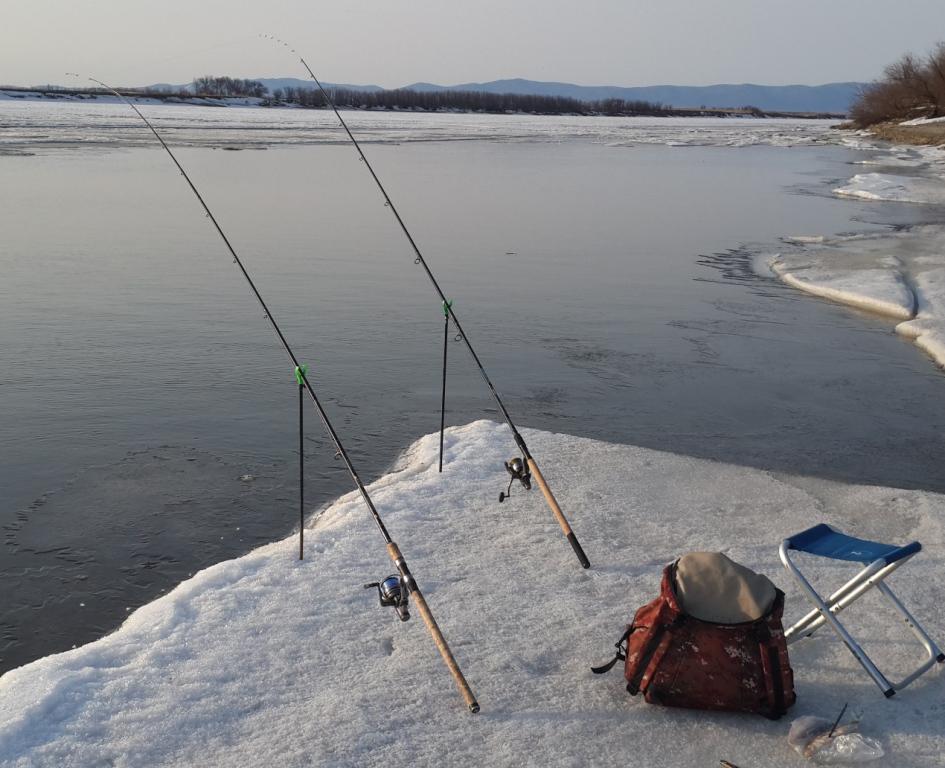 20150404_074845.jpg