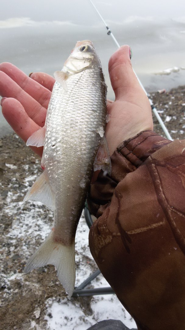 20150405_134323[1].jpg