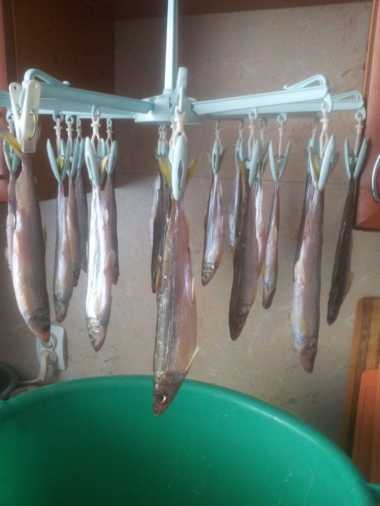 20150408_090226.jpg