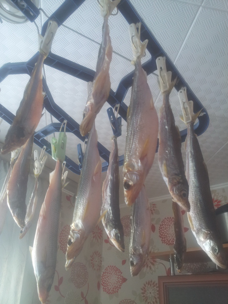 20150408_160209.jpg