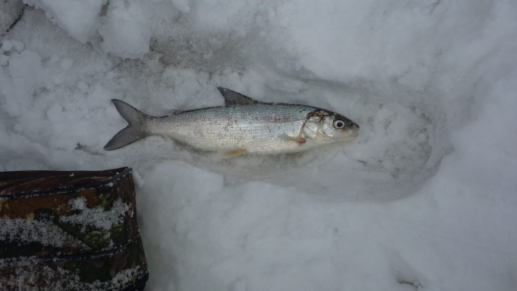 20150411_074027.jpg