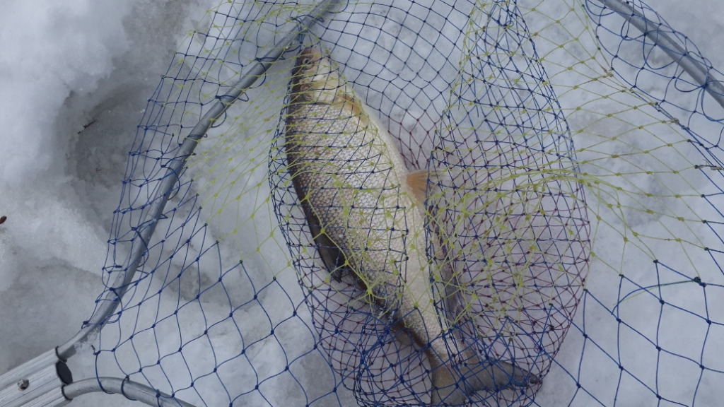 20150411_101552.jpg